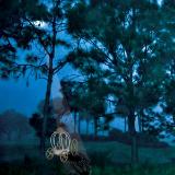 Garden Fantasy - First prize  - Blue Ribbon 2017