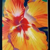 "Red & Yellow Hibiscus" Card