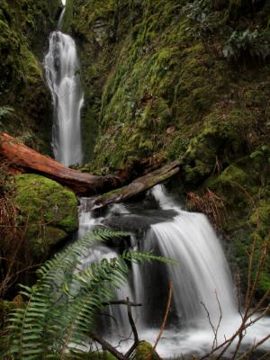 Mystery Falls