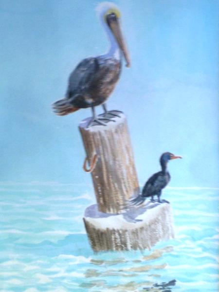 Friends (Pelican and Cormorant)