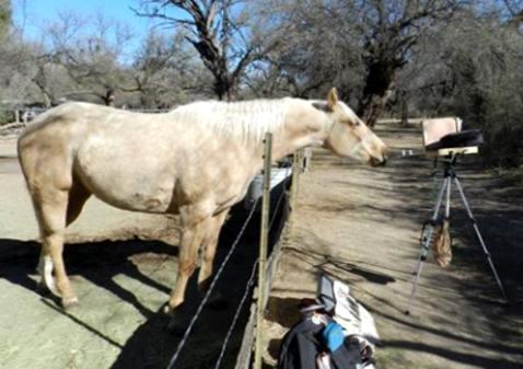The Palomino who painted Tubac