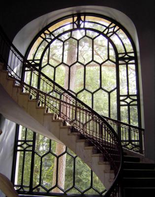 Staircase, Window, Tree