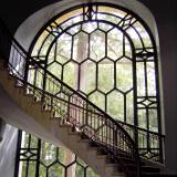 Staircase, Window, Tree