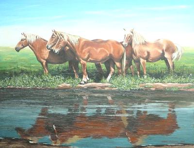 Horse reflections,  80cm x 60cm, 2011