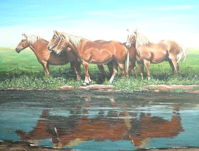 Horse reflections, 80cm x 60cm, 2011 Horse reflections, 80cm x 60cm, 2011