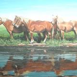 Horse reflections,  80cm x 60cm, 2011