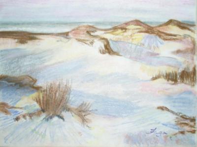 beach dunes