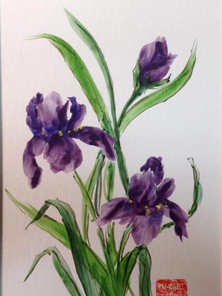 16x12" Spring Dance (Irises) 
