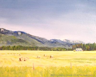 Hay Bales Hay Bales