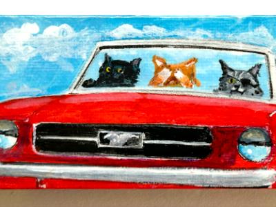 THREE CATS IN A RED MUSTANG
