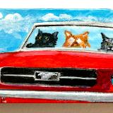 THREE CATS IN A RED MUSTANG