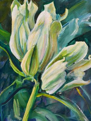 Creamy Gentian Creamy Gentian