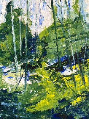 Walk in the woods Walk in the woods