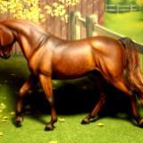 Artist Resin - 'Godiva' Custom NFS
