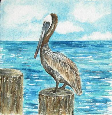 Peli on a Piling Peli on a Piling