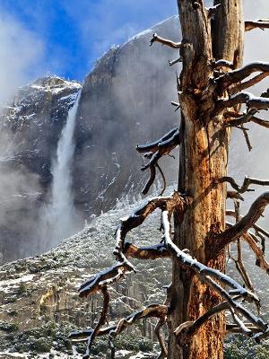 Fresh Snow in Yosemite Valley Fresh Snow in Yosemite Valley