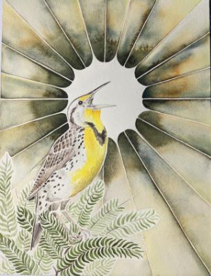 Meadow Lark Song Meadow Lark Song