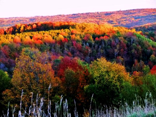 Hockley Valley , Ontario