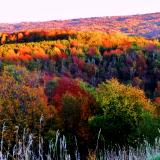 Hockley Valley , Ontario