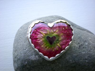 Warm Heart Warm Heart