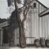 Old Barn, Picchetti Winery