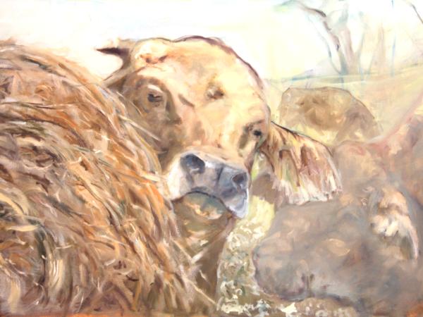 Bull at a Hay Bale