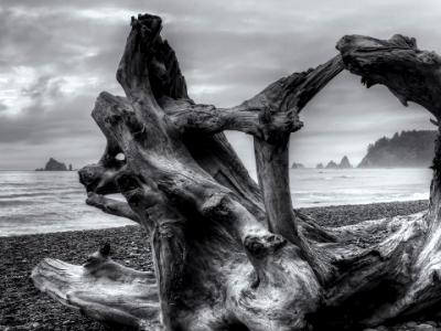 Rialto Beach Moody Sunset Rialto Beach Moody Sunset