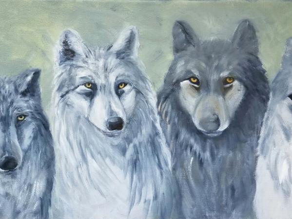 Grey Wolves