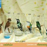 Set of handpainted glasses: GARDEN OF HUMMINGBIRDS