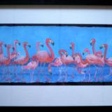 SOLD-Flamingos