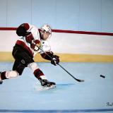Hockey mural