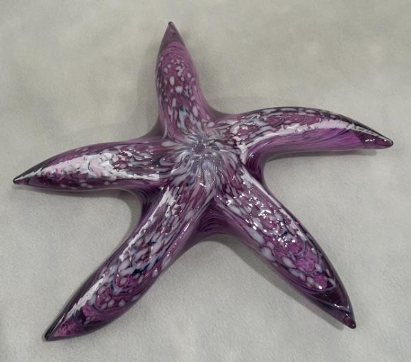 #01102623 Starfish purple with wall hanger 7.5'' $90.00