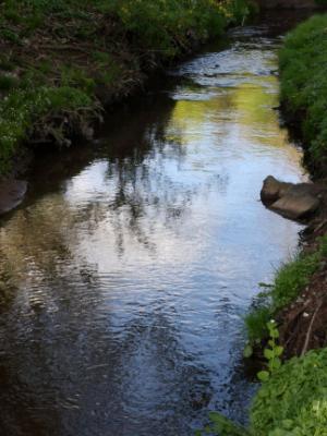 Stream Stream