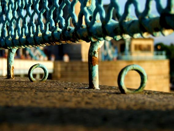 Close-ups: Fence