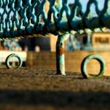 Close-ups: Fence