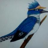 kingfisher in sports visor