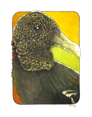 Vulture Vulture