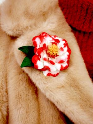 Camellia, The Winter Rose Camellia, The Winter Rose