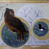 Owl and Magpie