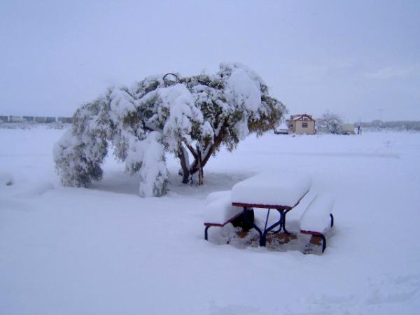 freek snow storm in Bowie Az