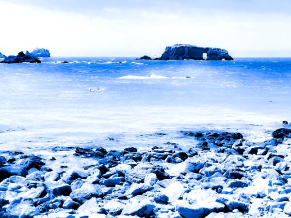 Natural Bridges Seascape