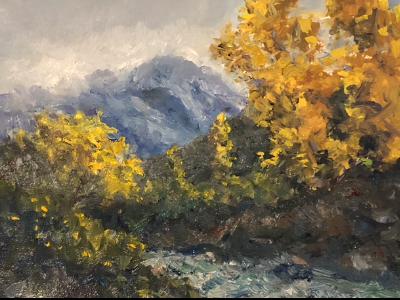 Stream Tree Study