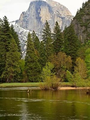 Merced River and Half Dome Merced River and Half Dome