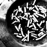 untitled  (canon Powershot pro 1)