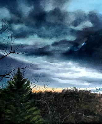 Treetops in the night sky Treetops in the night sky
