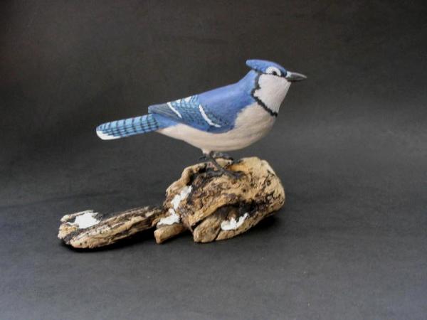 Half Size Blue Jay - sold