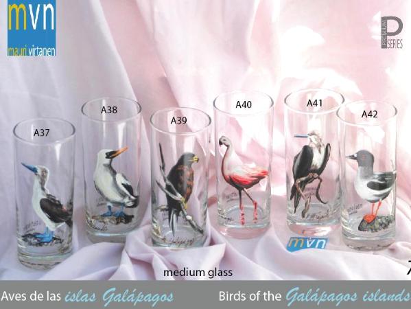Set of handpainted glasses: BIRDS OF GALAPAGOS