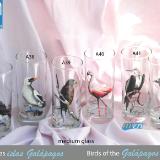 Set of handpainted glasses: BIRDS OF GALAPAGOS