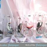 Set of handpainted glasses: BIRDS OF GALAPAGOS