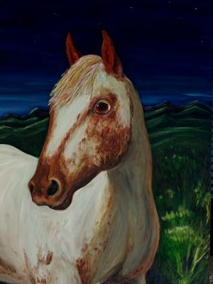 The Roan